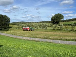 Alley-Cropping System bestehend aus unterschiedlichen Pappelsorten, Apfelsorten und Holundersträucher auf dem Gladbacherhof ©Lisa Zenners